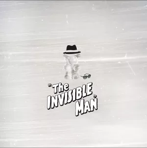 Mini Collector Invisible bear