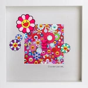 Mini Collector Smile flowers