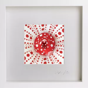 Mini Collector White dots