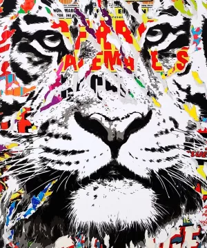 Storm tiger