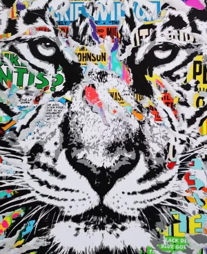 Atlantic tiger