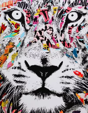 Pink lioness