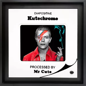 Bowie Ziggy