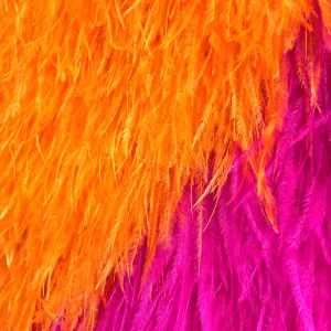 Coeur Pop orange fushia