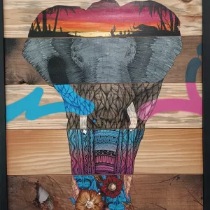 b suivez le guide, 75x65cm
