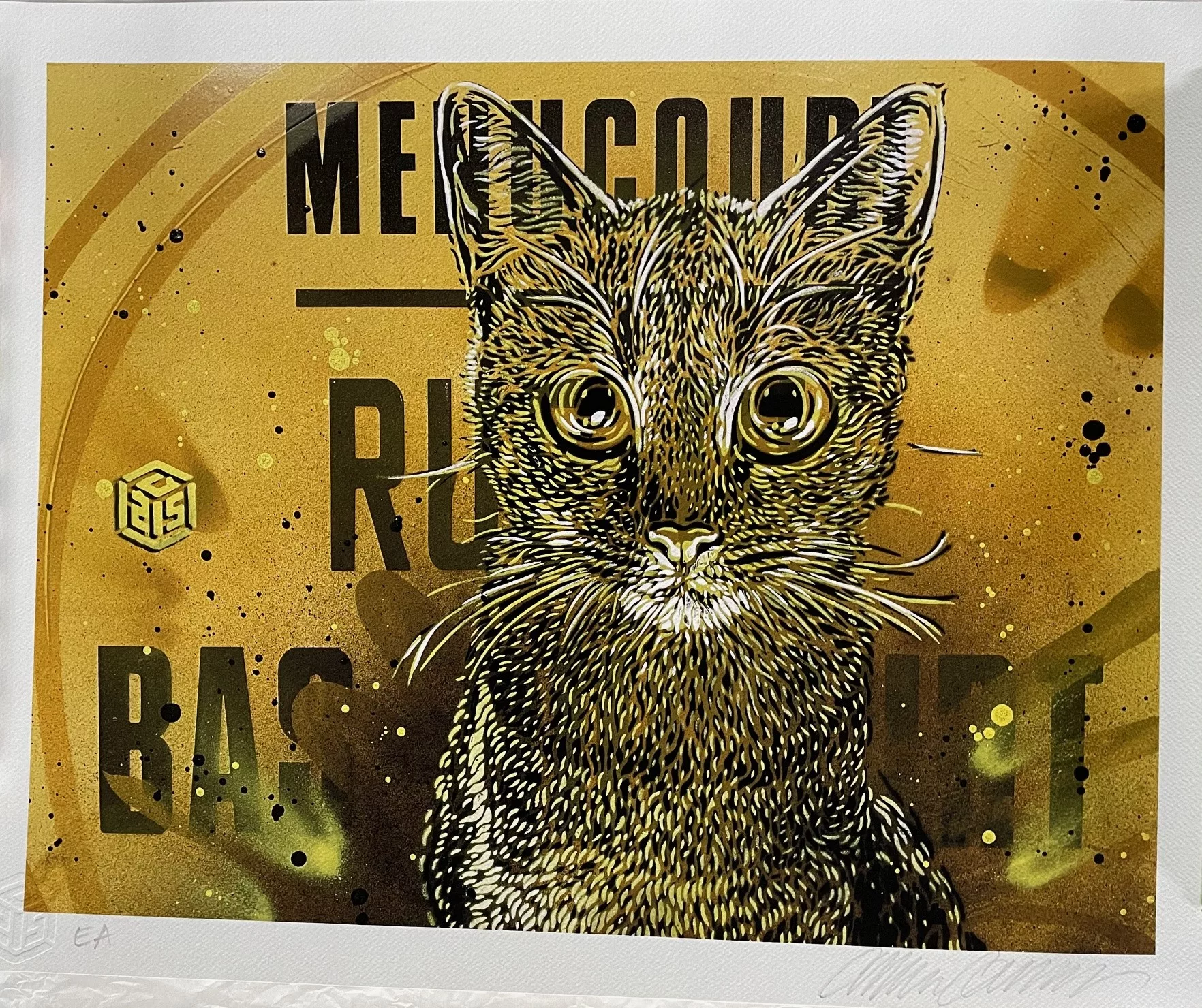 Mustard cat, print on canson, 40x50cm, EA