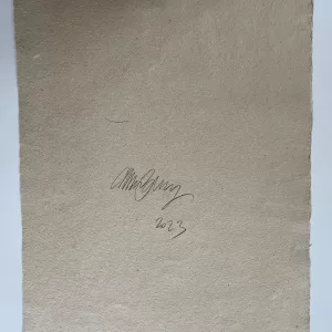 Le Chat, bombe aérosol et pochoir sur papier, 68x50cm, C215, pièce unique, 2023 (5)