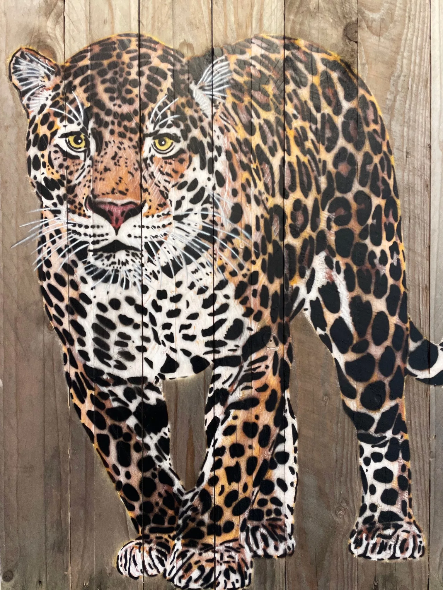 Jaguar debout, 80x54cm, Mosko, art urbain (4) Jaguar debout, 80x54cm, Mosko, art urbain (4)