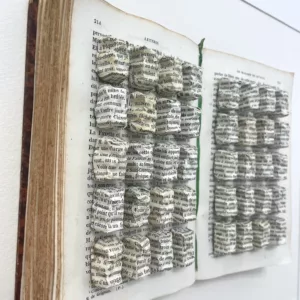Lettres de Mme de Sevigne, Stephane Gautier, 64x96cm, mixed media, unique piece (6)