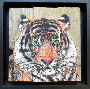 The green-eyed tiger