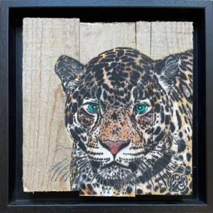 Portrait of a feline