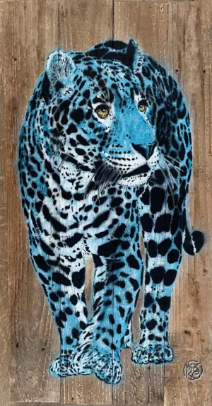 Jaguar blue