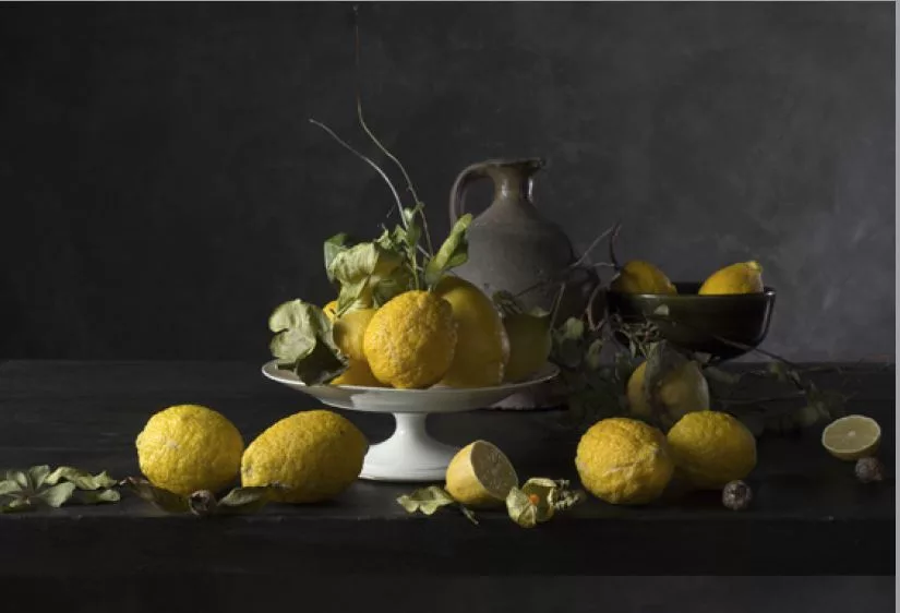 Citrons corses II