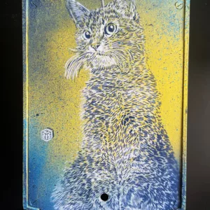 Mailbox Cat by C215, 43x28x18cm, aerosol and stencils, unique piece (4)