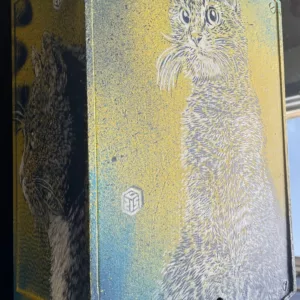 Mailbox Cat by C215, 43x28x18cm, aerosol and stencils, unique piece (5)