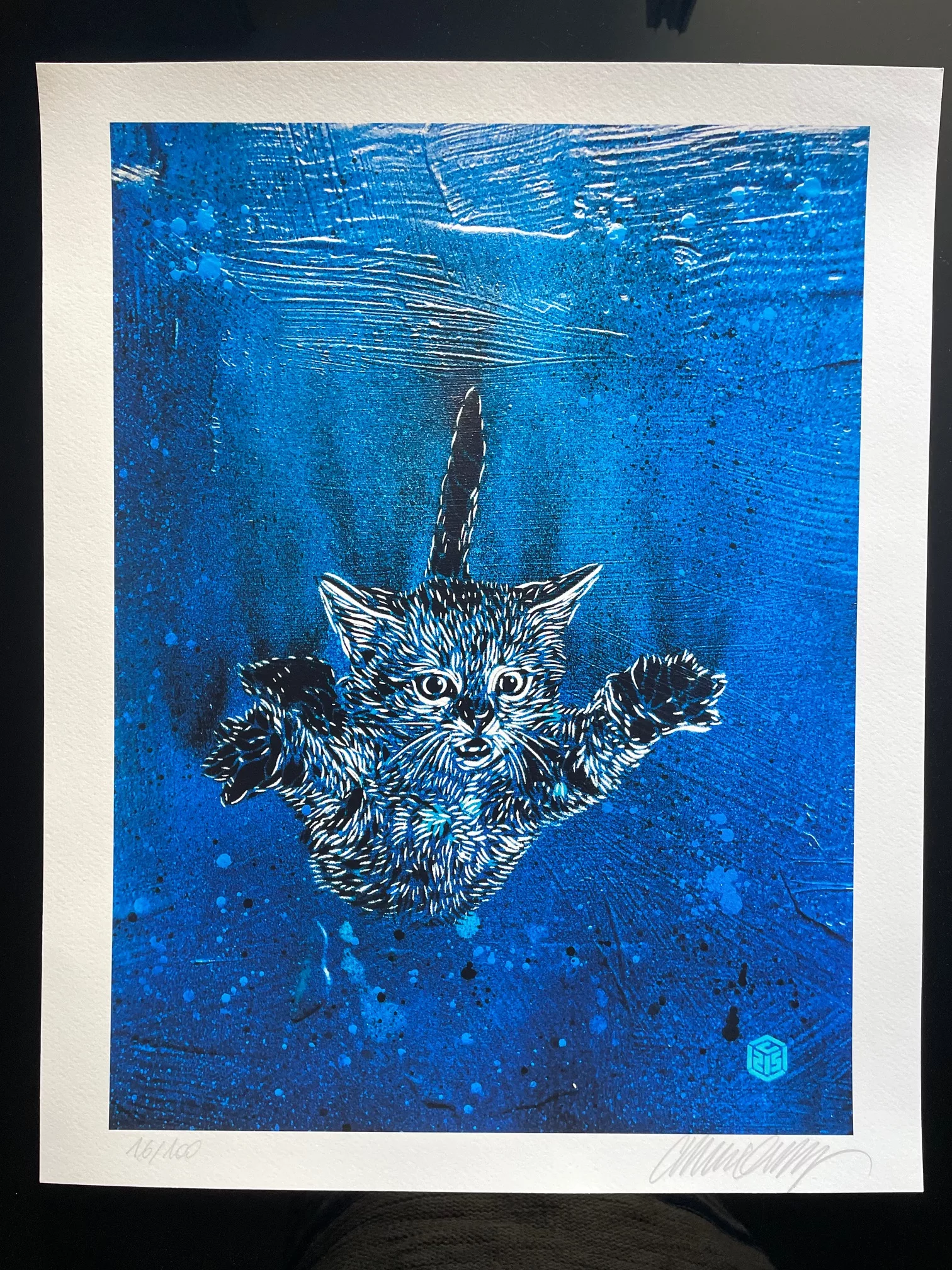 Nirvanaa Cat, 50x40cm, 100 copies