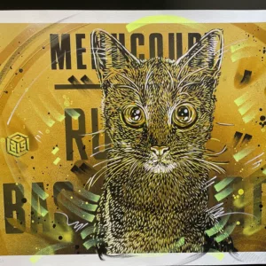 Chat moutarde, 40x50cm, 12x20ex