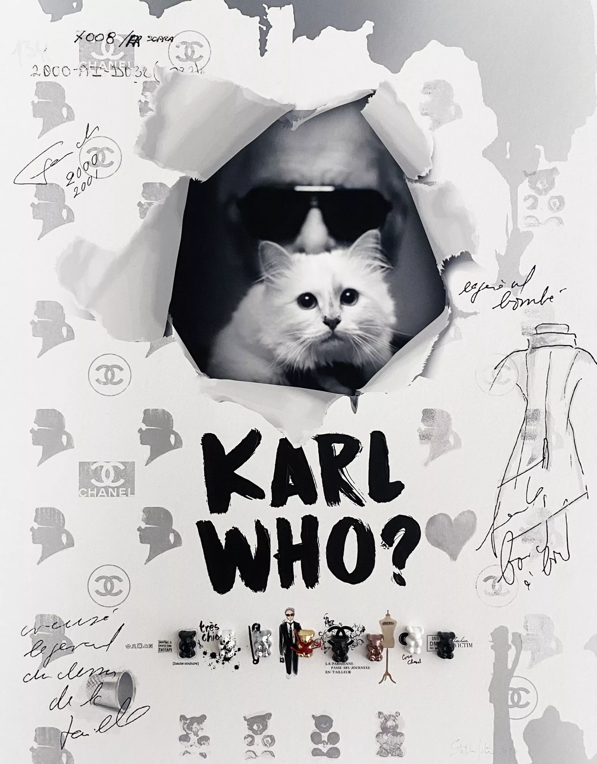 KARL who, Stéphane Gautier, 65x50cm